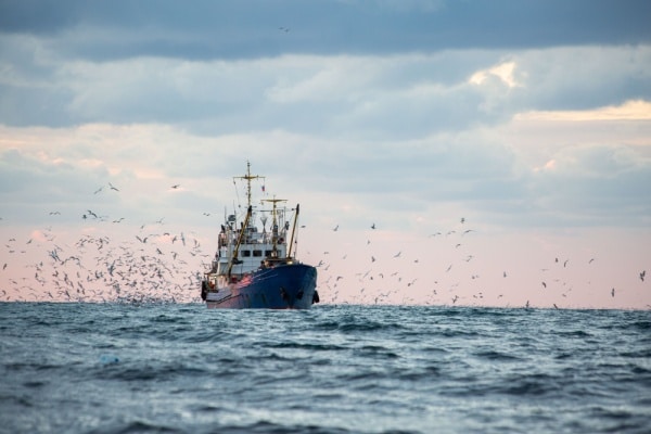You are currently viewing Aide financière liée au carburant : séance de rattrapage pour les entreprises de pêche